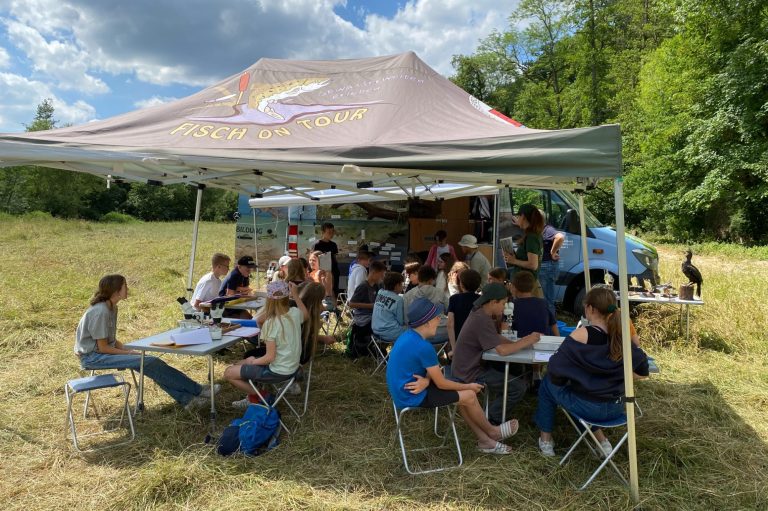 Fischmobil Fischmobil